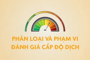 Video: Phân loại, phạm vi và tiêu chí đánh giá cấp độ dịch