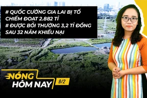 Nóng hôm nay: Quốc Cường Gia Lai bị tố chiếm đoạt 2882 tỉ