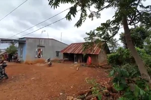Video: Nhiều người lao đao trong cơn sốt đất ở Đắk Lắk