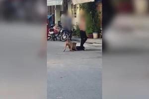 Video: Chủ vất vả ngăn cản chó Pitbull tấn công chó khác
