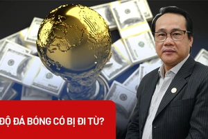 Video: Cá độ bóng đá có thể ngồi tù bao nhiêu năm?