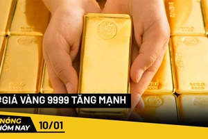 Nóng hôm nay: TP.HCM đề xuất làm cầu dây văng Phú Mỹ 2 kết nối tỉnh Đồng Nai