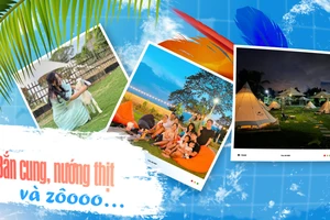 Cắm trại xuyên đêm giữa lòng thành phố 