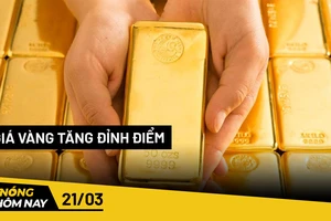 Nóng hôm nay: Bị phạt 64 triệu đồng vì nuôi chó gây ô nhiễm môi trường