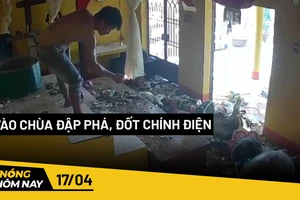 Nóng hôm nay: 1,15 triệu thuê bao điện thoại có nguy cơ bị thu hồi ngày 15-5