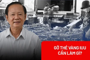Cần làm gì để gỡ thẻ vàng IUU cho thủy sản Việt Nam?