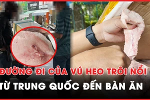 Video ĐIỀU TRA - Kỳ 3: 'Bí mật' từ các thùng xốp đựng vú heo Trung Quốc ‘lọt nắng hoá giòi’