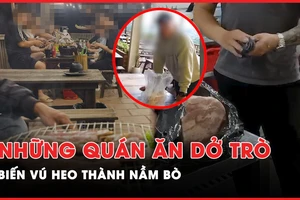 VIDEO ĐIỀU TRA - Kỳ cuối: Thâm nhập 1 loạt quán ăn 'hô biến' vú heo trôi nổi thành nầm bò