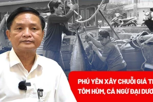Phú Yên xây dựng chuỗi giá trị bền vững cho tôm hùm, cá ngừ đại dương