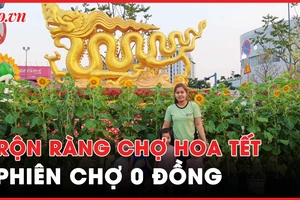Rộn ràng Tết: Người dân tham gia chợ hoa, phiên chợ 0 đồng