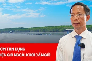Cần sớm tận dụng điện gió ngoài khơi Cần Giờ