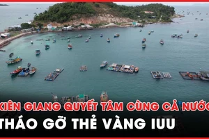 Kiên Giang quyết tâm chấm dứt tàu cá vi phạm vùng biển nước ngoài, cùng cả nước tháo gỡ thẻ vàng