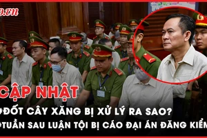 Điểm nóng tố tụng: Tuần sau, luận tội các bị cáo đại án đăng kiểm; Xử lý người đốt cây xăng ra sao?