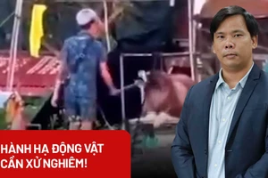 Bạo hành chó Alaska ở Đà Lạt, đối diện mức xử lý ra sao?