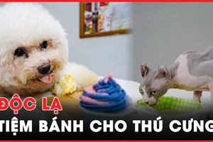 Tiệm bánh ngọt cho…thú cưng