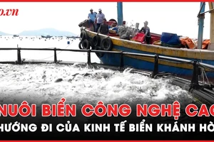 Nuôi biển công nghệ cao: Bước đi vững chắc cho ngành kinh tế biển Khánh Hòa