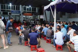 Chen chúc đổi giấy phép lái xe ở TP.HCM: Trung tâm làm hết công suất vẫn quá tải