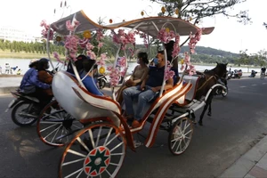 Đà Lạt gia hạn hoạt động xe ngựa chở khách quanh hồ Xuân Hương đến cuối tháng 3