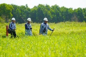 Vượt suối, băng rừng cắm mốc cao tốc TP.HCM - Mộc Bài