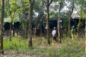 Chở con đi học, người đàn ông tá hỏa phát hiện xác treo cổ trong rừng cao su