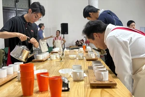 Lâm Đồng tuyển chọn cà phê chất lượng cao để xuất khẩu