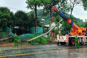 Mưa lớn làm cây xanh, trụ đèn đổ chắn ngang Quốc lộ 20