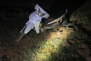 Phát hiện 18 kg vàng nghi nhập lậu bị bỏ lại gần biên giới Tây Ninh