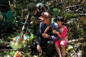 Tìm thấy người đàn ông để 2 con nhỏ ở chòi, vào rừng rồi mất tích