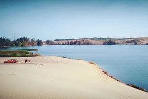 Ốc đảo xanh giữa lòng sa mạc