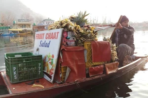 Thiên đường hồ Dal trong mùa băng giá