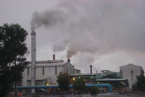 Trồng rau gần khu công nghiệp: Coi chừng ung thư