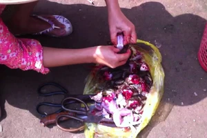 Coi chừng mang họa vì bán thịt cóc 