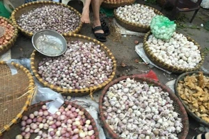 Những cảnh báo đáng sợ từ tỏi Trung Quốc