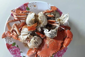 Cua biển siêu rẻ 'tiền nào của nấy'