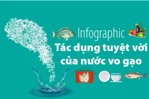 Tác dụng tuyệt vời của nước vo gạo
