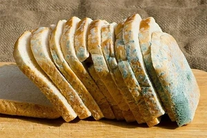 Ăn bánh bị nấm mốc, nguy hại cỡ nào?