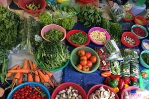 Rau củ quả, không đơn thuần chỉ có chất dinh dưỡng