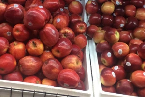 'Biến hóa' xuất xứ trái cây: Rước họa vào thân!