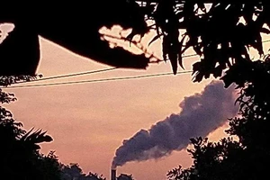 Công khai thông tin doanh nghiệp gây ô nhiễm môi trường