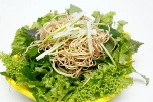 Cẩn trọng kẻo nhiễm giun, sán chó từ rau sống