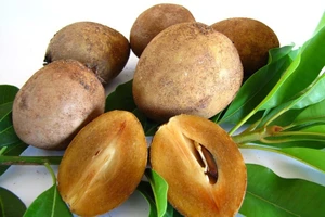 Những loại trái cây người tiểu đường không nên ăn nhiều