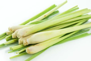 Nhiều tác dụng đáng ngạc nhiên của cây sả