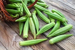 Ăn đậu bắp có thể chống lại bệnh tiểu đường