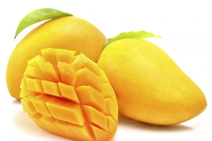 Những loại trái cây dễ tìm vào mùa hè giúp giảm cân