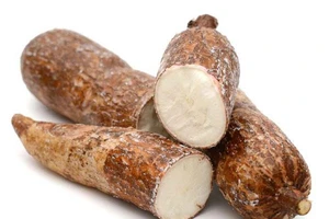 Nhiều lợi ích bất ngờ từ củ khoai mì ít người biết đến