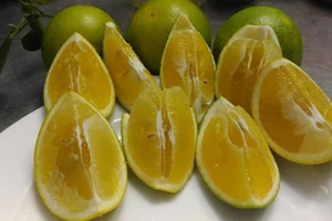 Cách giảm mỡ bụng sau 4 tuần bằng thực phẩm