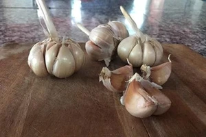 Thực phẩm vừa lợi cho sức khỏe vừa giảm cân