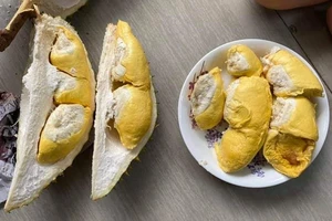 Lưu ý việc ăn trái cây khi mắc bệnh tiểu đường