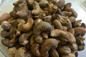 Ăn hạt điều có thể giúp phòng ngừa bệnh tiểu đường