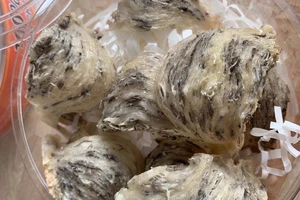 Giải pháp chống kinh doanh tổ yến kém chất lượng